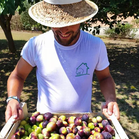 Hostel Eco House San Michele *